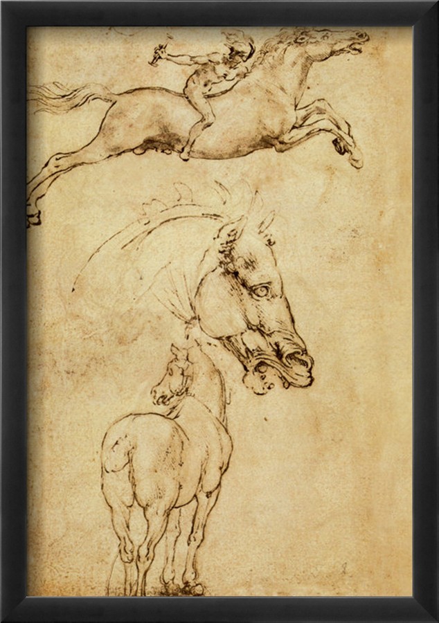 Sketch of a Horse By Leonardo Da Vinci